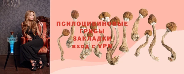 твердый Богданович