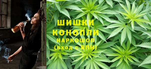 твердый Богданович