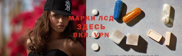 дживик Богородск