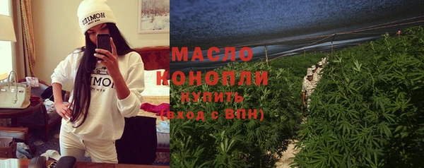 дживик Богородск