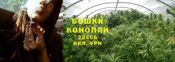твердый Богданович