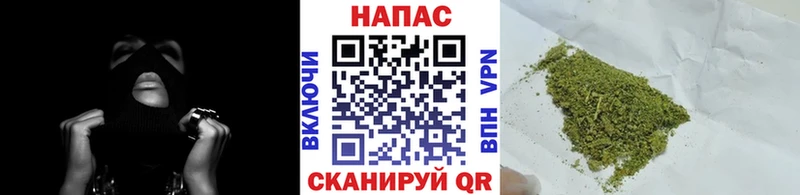 Бошки марихуана SATIVA & INDICA  купить  сайты  Мышкин 